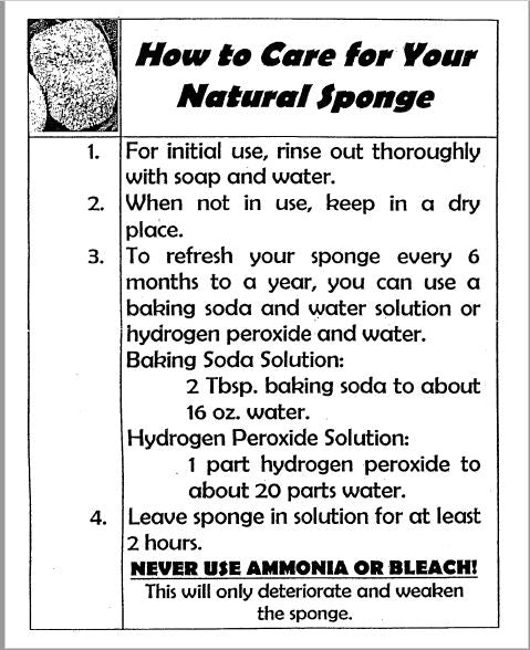Natural Sea Sponge