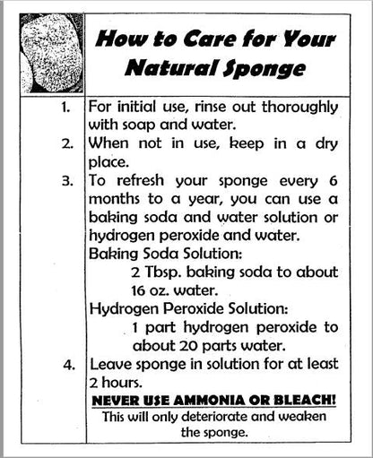 Natural Sea Sponge